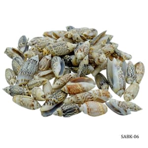 Craft Shells (100 grams) (SABK-06)