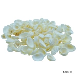 Craft Shells (100 grams) (SAFC-01)