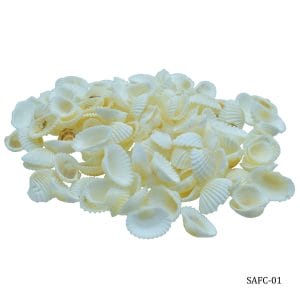Craft Shells (100 grams) (SAFC-01)