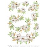 CrafTangles A4 Transfer It Sheets - Spring Flowers 9
