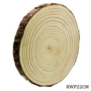 Natural Wooden Slices 22 cm - single piece
