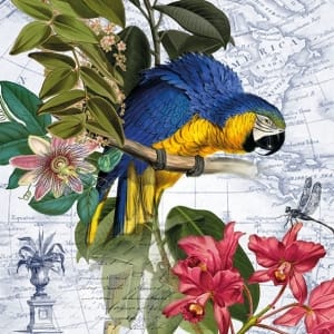 German Decoupage Napkins (5 pcs) - Ara (Bird)