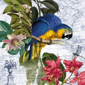 German Decoupage Napkins (5 pcs) - Ara (Bird)