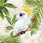 German Decoupage Napkins (5 pcs)  - Cockatoo