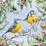 German Decoupage Napkins (5 pcs)  - Chirping Birds