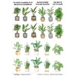 CrafTangles A4 Transfer It Sheets - Plants 1