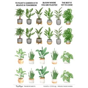 CrafTangles A4 Transfer It Sheets - Plants 1
