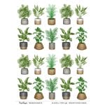 CrafTangles A4 Transfer It Sheets - Plants 2