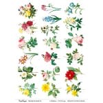 CrafTangles A4 Transfer It Sheets - Vintage Roses 2