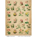 CrafTangles A4 Transfer It Sheets - Vintage Roses 3