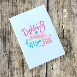 Creativity is Intelligence Having Fun - 1-2