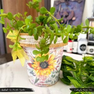 Decoupage_Upcycle_Pot_Transfer_it