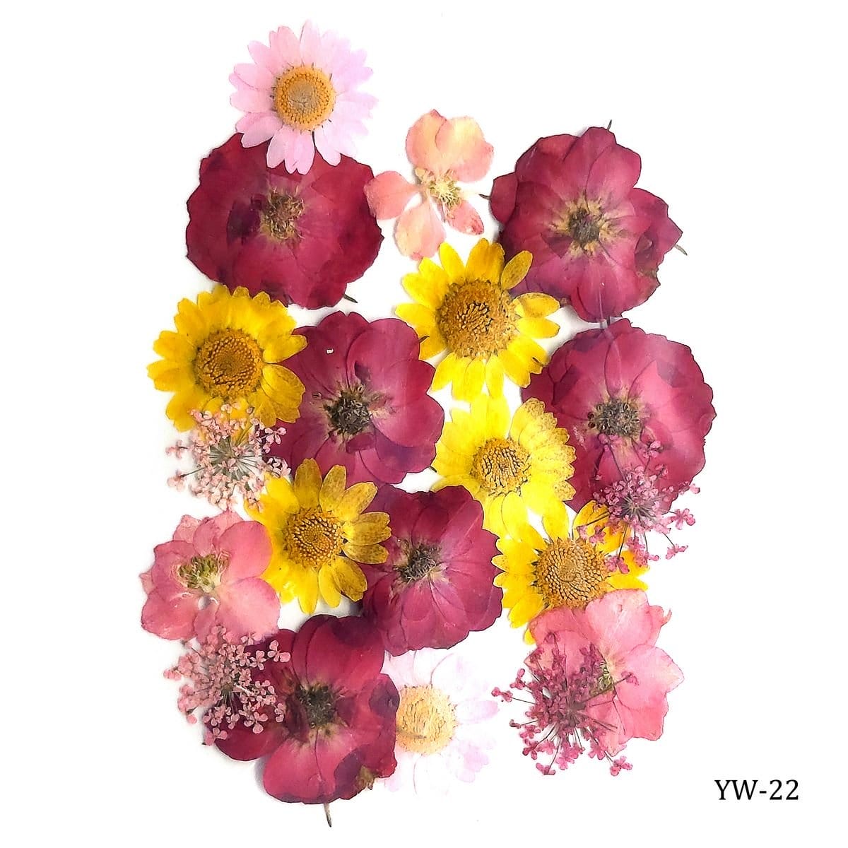 Dried Flowers (20 pcs) - YW-22 YW 22 dried flowers resin Dried Flowers (20 pcs) - YW-22