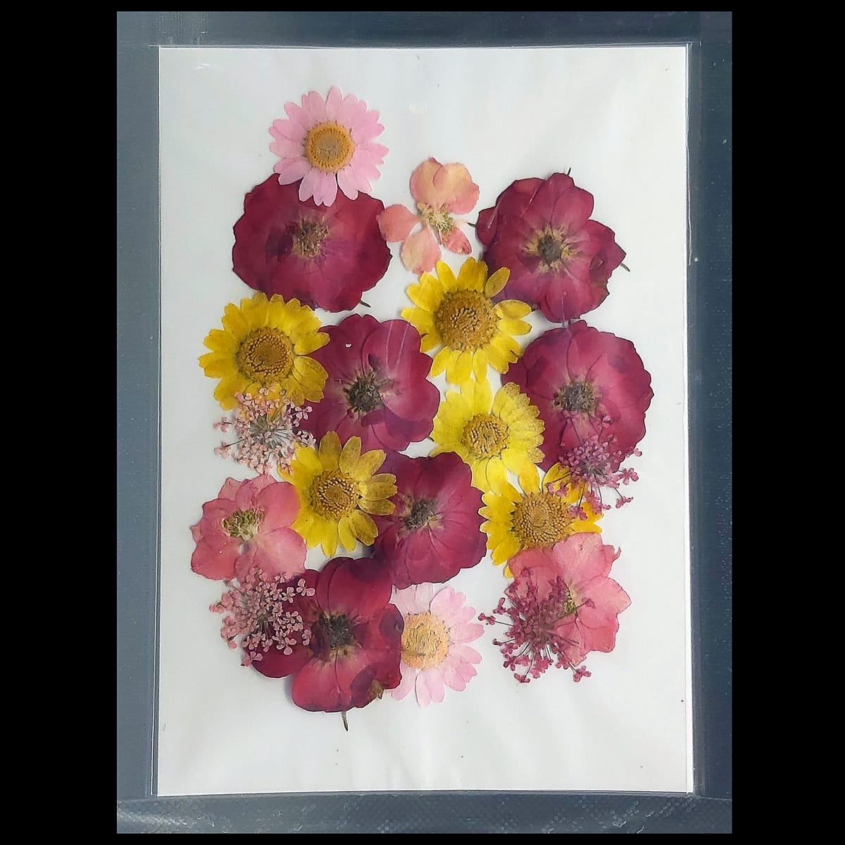 Dried Flowers (20 pcs) - YW-22 YW 22 dried flowers resin 1 YW-22_dried_flowers_resin_1