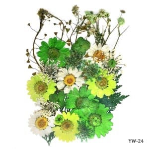 Dried Flowers (30 pcs) - YW-24