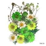 Dried Flowers (30 pcs) - YW-24