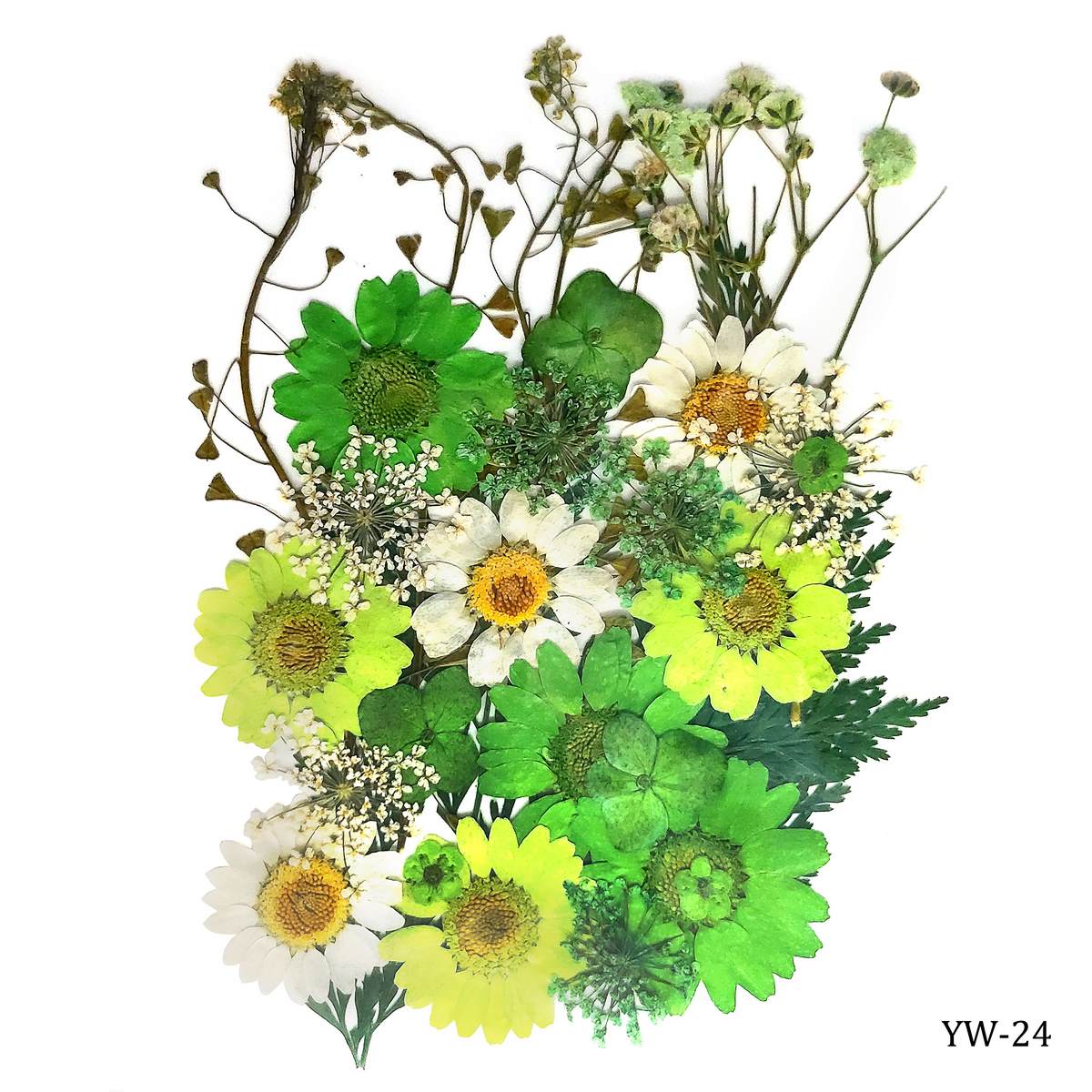 Dried Flowers (30 pcs) - YW-24 YW 24 dried flowers resin Dried Flowers (30 pcs) - YW-24