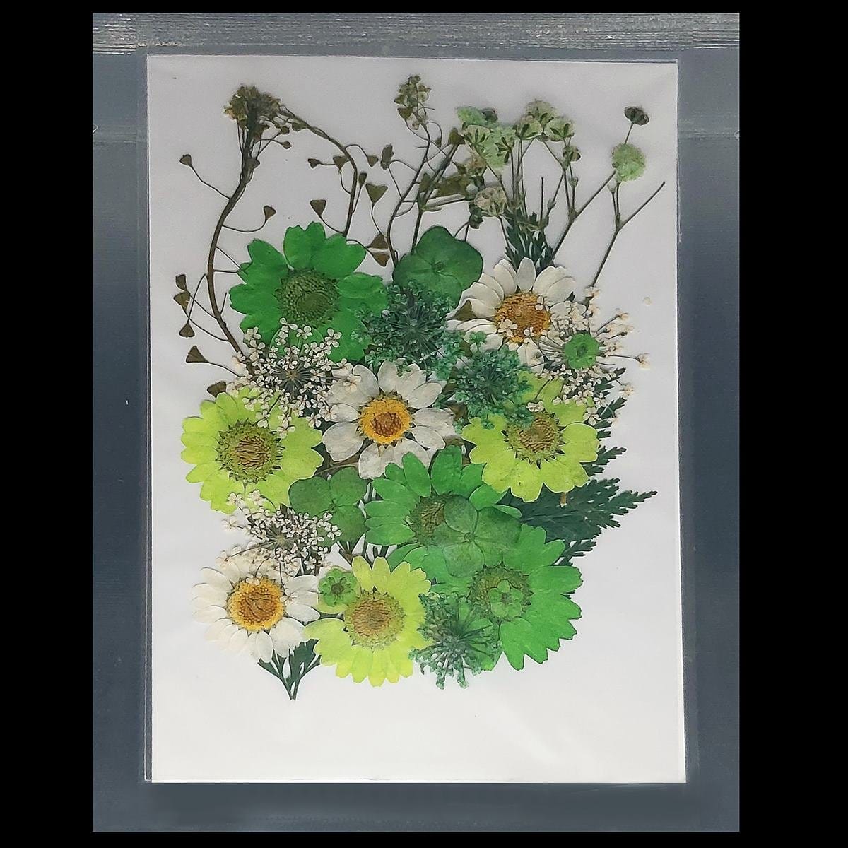 Dried Flowers (30 pcs) - YW-24 YW 24 dried flowers resin 1 YW-24_dried_flowers_resin_1