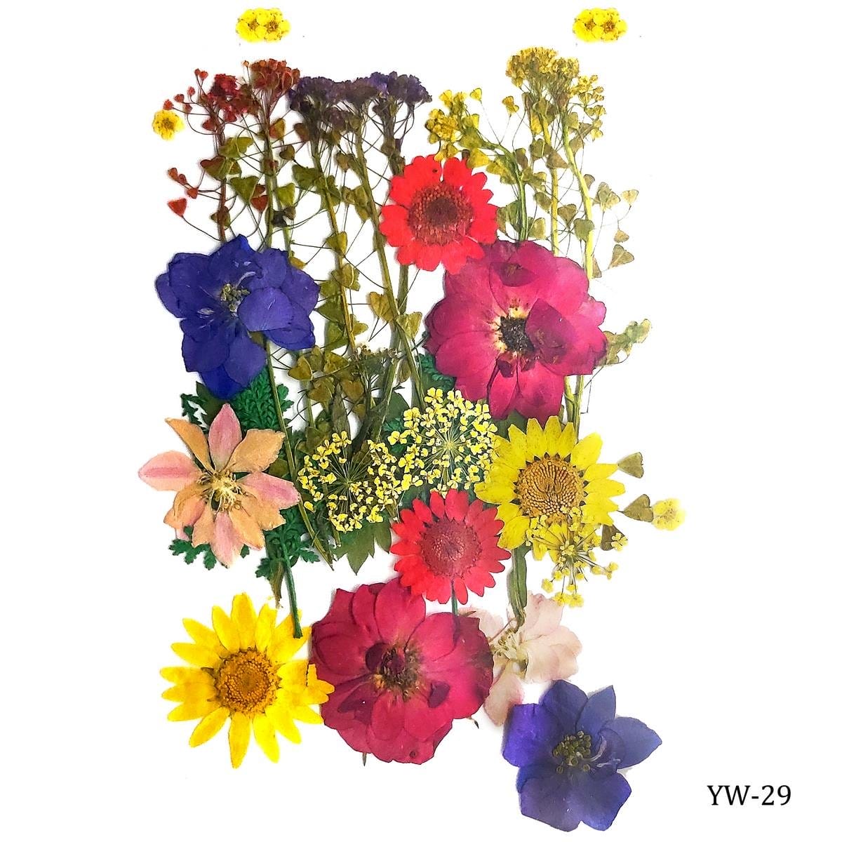 Dried Flowers (30 pcs) - YW-29 YW 29 dried flowers resin Dried Flowers (30 pcs) - YW-29