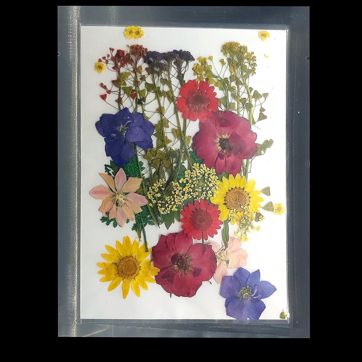 Dried Flowers (30 pcs) - YW-29 YW 29 dried flowers resin 1 YW-29_dried_flowers_resin_1