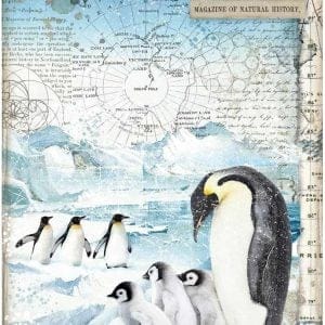 Stamperia Rice Paper A4 - Penguins, Arctic Antarctic