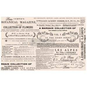 Prima Marketing Re-Design Mulberry Tissue 19"x30" - Floral Text