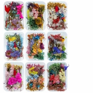 dried_flowers_YW-1BOX_1