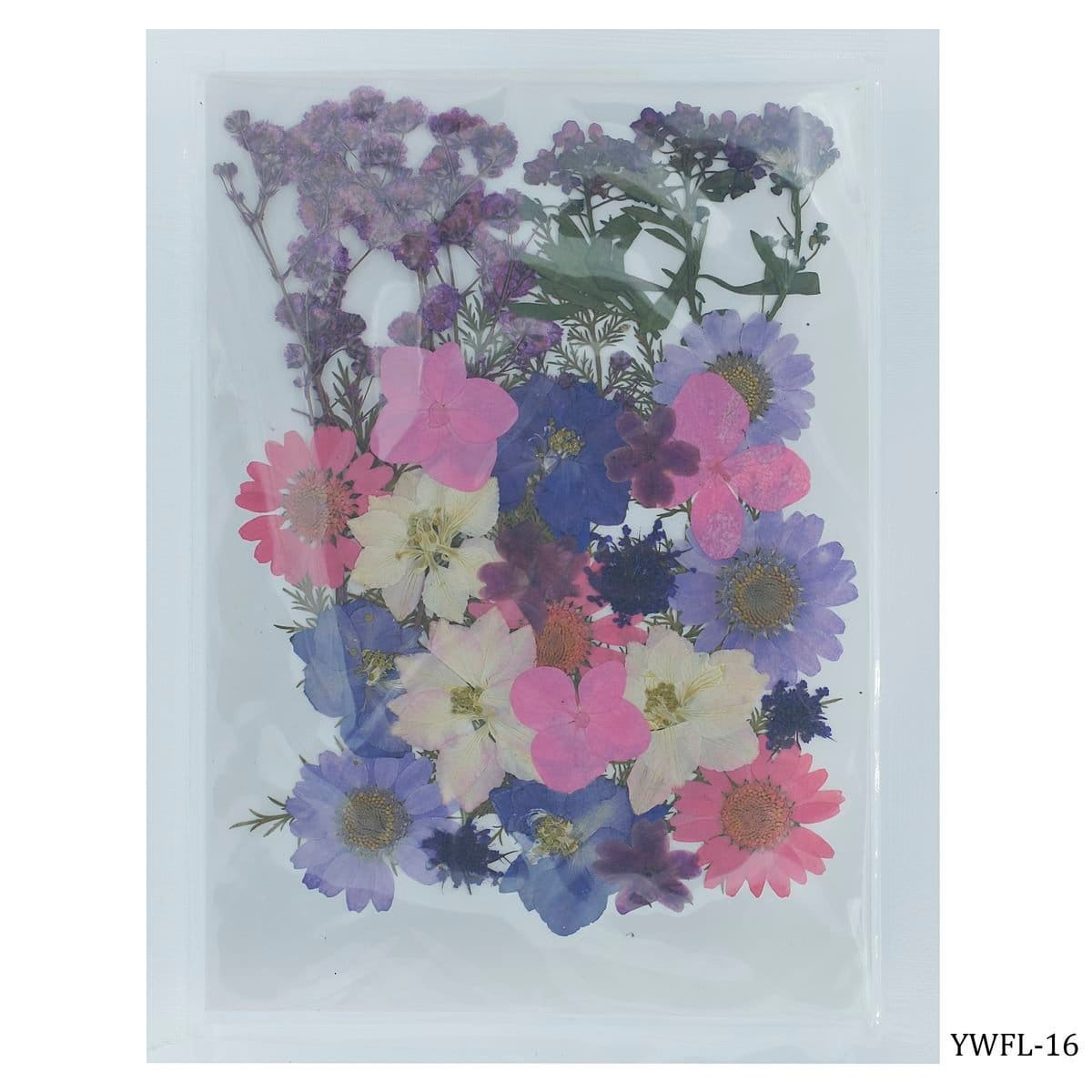 Dried Flowers (30 pcs) - YWFL-16 dried flowers YWFL 16 Dried Flowers (30 pcs) - YWFL-16