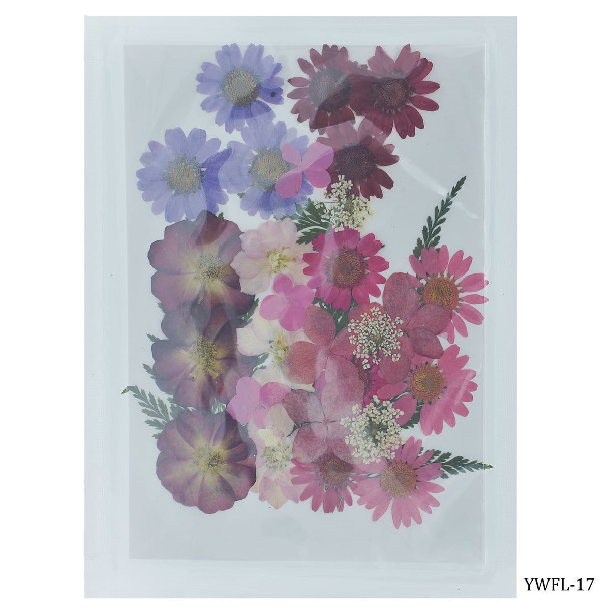 Dried Flowers (30 pcs) - YWFL-17 dried flowers YWFL 17 Dried Flowers (30 pcs) - YWFL-17