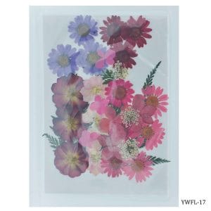 Dried Flowers (30 pcs) - YWFL-17