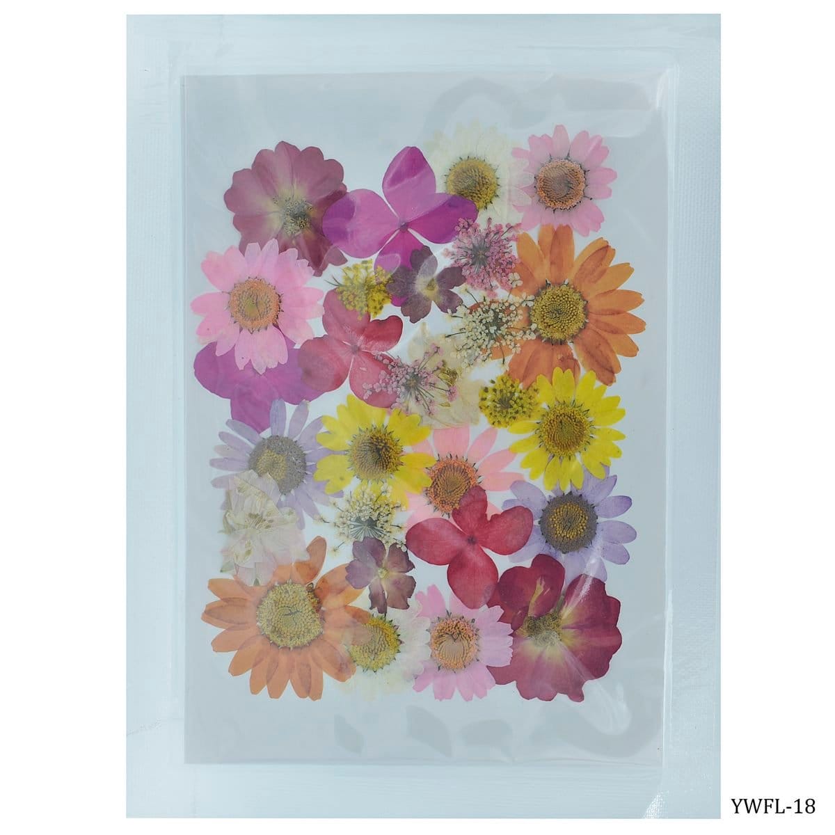 Dried Flowers (30 pcs) - YWFL-18 dried flowers YWFL 18 Dried Flowers (30 pcs) - YWFL-18