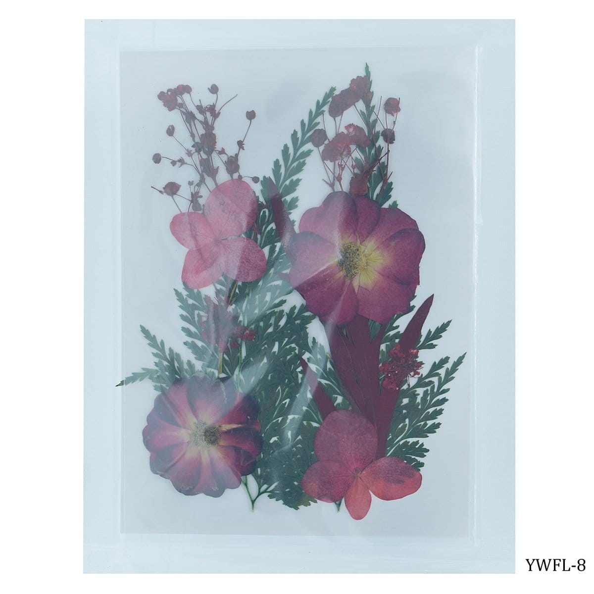 Dried Flowers (12 pcs) - YWFL-8 YWFL 8 dried flowers Dried Flowers (12 pcs) - YWFL-8