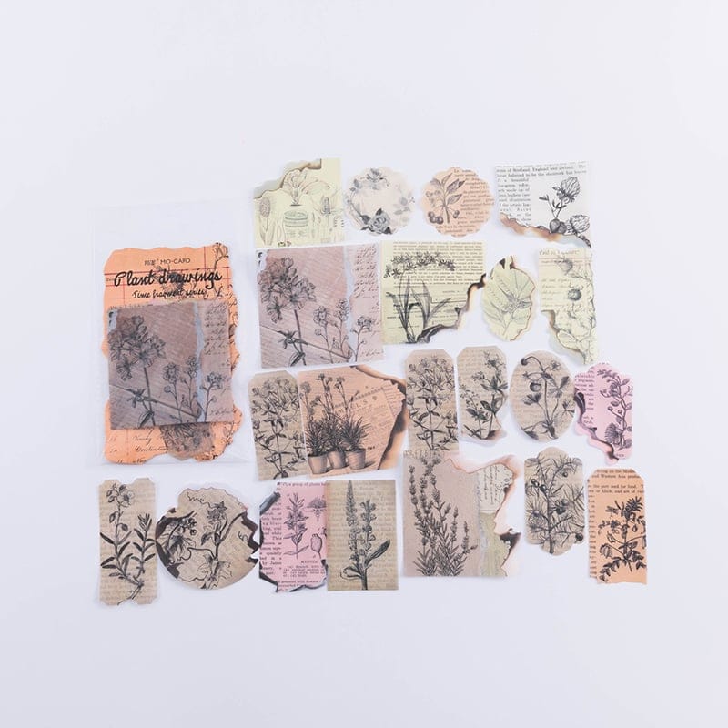 Journal Ephemera Stickers - Plant Drawings (40 pcs) 40pcs sticker ephemera Plant Drawings Journal Ephemera Stickers - Plant Drawings (40 pcs)