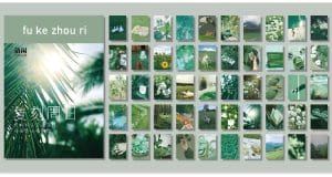 Photo Sticker Book for Journal Ephemeras (50 sheets) - Green tones