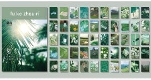 Photo Sticker Book for Journal Ephemeras (50 sheets) - Green tones