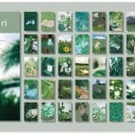 Photo Sticker Book for Journal Ephemeras (50 sheets) - Green tones