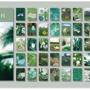 Photo Sticker Book for Journal Ephemeras (50 sheets) - Green tones