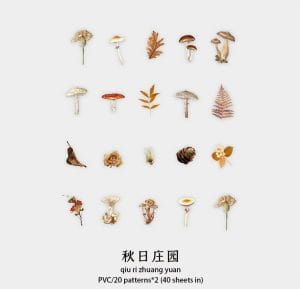 Box Clear PET Flowers Stickers (40 pcs) - Brown Botanical Elements