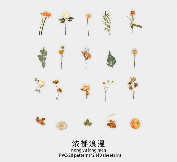 Box Clear PET Flowers Stickers (40 pcs) - Orange Flowers