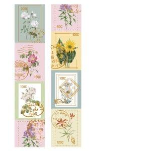 Washi Sticker Roll - Floral Frames (40mm by 3 metres)