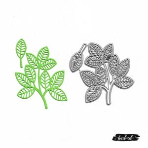 Steel Cutting Dies - Leaves (Set of 2 dies) (XY454)