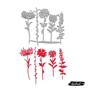 Steel Dies - Leaves and Flowers (Set of 5 dies) (XY568)