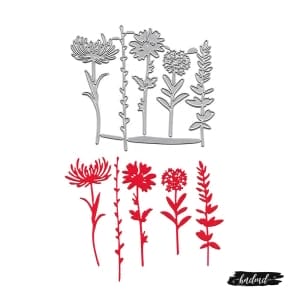 Steel Dies - Leaves and Flowers (Set of 5 dies) (XY568)