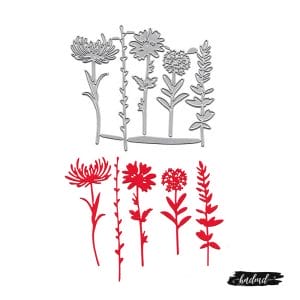 Steel Dies - Leaves and Flowers (Set of 5 dies) (XY568)