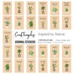 CrafTangles Journal Stickers 4 by 6 cm (Pack of 25 designs) - Inspired by Nature