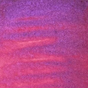 Lindys_Magical_Powder_Bougainvillea_Fuchsia_1