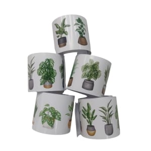 Potted-Plants-2