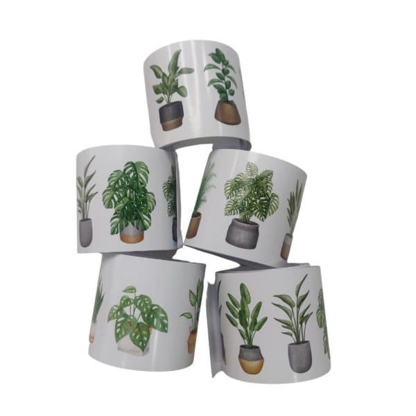 Potted-Plants-2