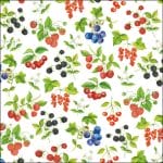 German Decoupage Napkins (5 pcs)  - Fruits
