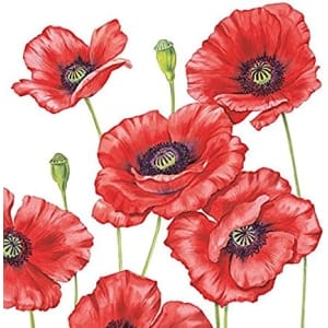 German Decoupage Napkins (5 pcs) - Romantic Poppy